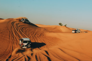 Dubai Desert Conservation Reserve